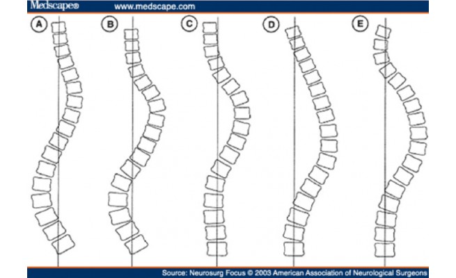 KS564P41.jpg