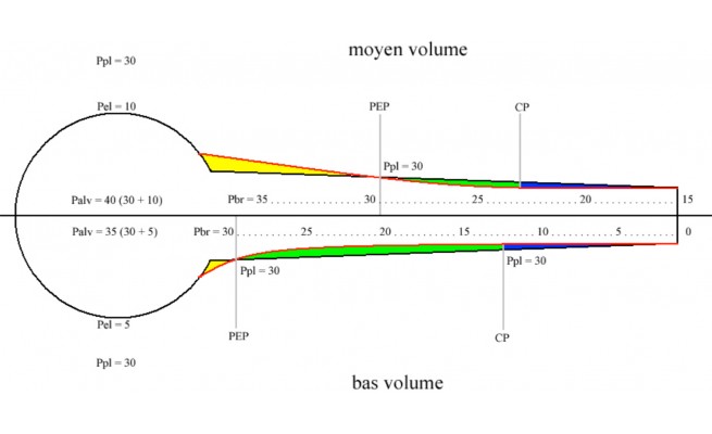 KS575P05.jpg