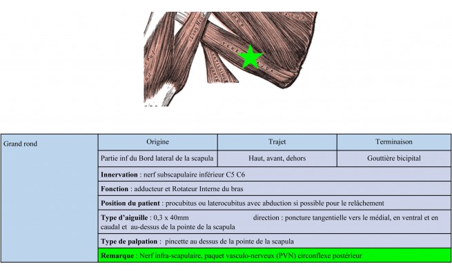 KS620P49.jpg