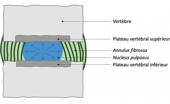 KS648P23.jpg