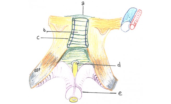 KS653P27.jpg